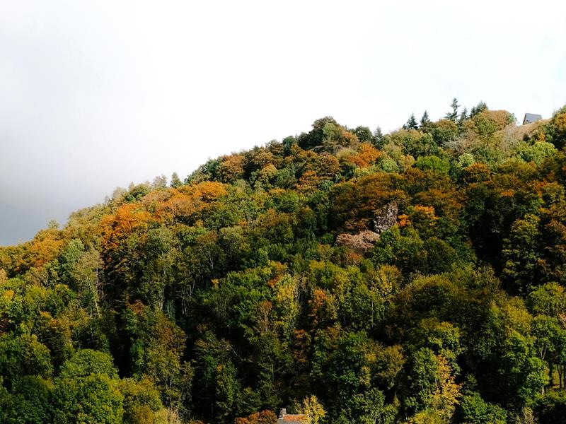 Historie - Unternehmen