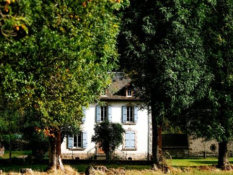 Nullam ipsum ante, tincidunt ut purus at, ultricies mollis est