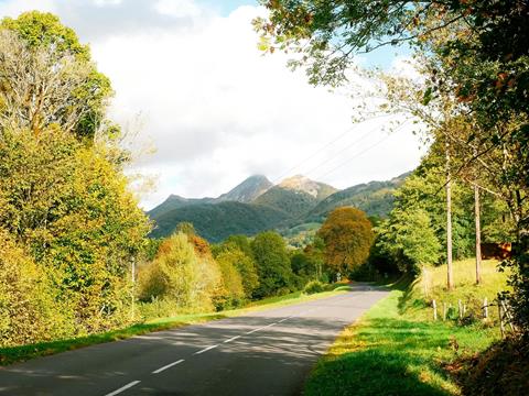 Nullam ipsum ante, tincidunt ut purus at, ultricies mollis est